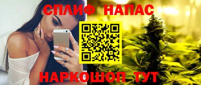 гидра Прохладный