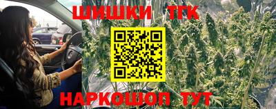 гидра Прохладный