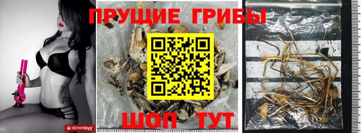 Галлюциногенные грибы мицелий Белая Калитва