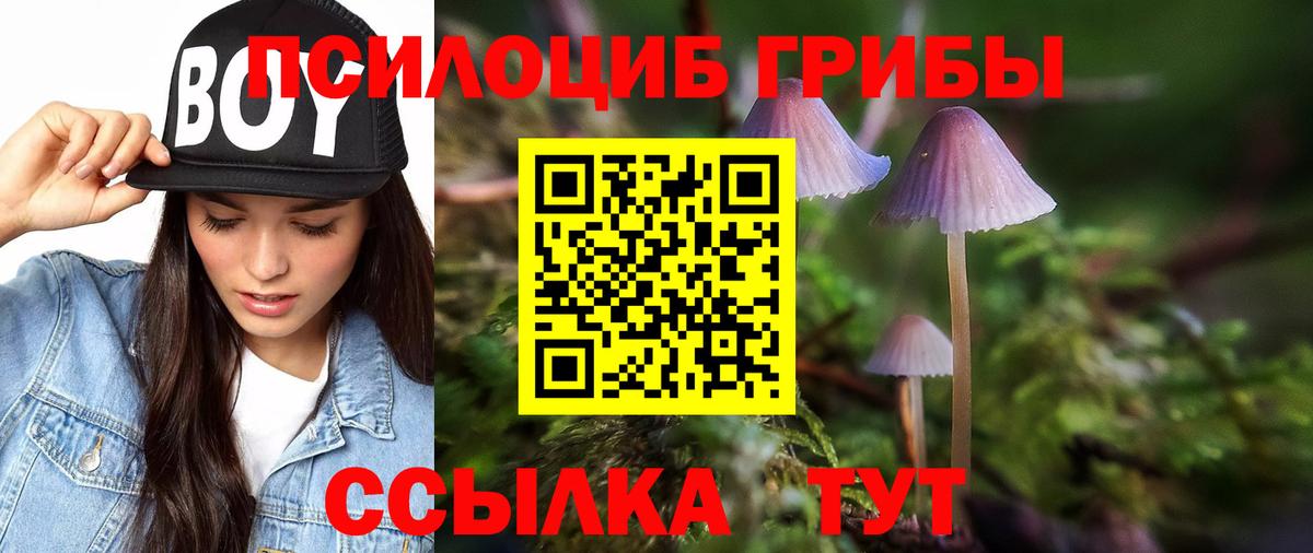 Белая Калитва  Псилоцибиновые грибы GOLDEN TEACHER  Вход с VPN  Псилоцибиновые грибы мухоморы 